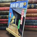 8_  芸術新潮 1995年5月号 天災と闘った美術 ヤケ シミあり 010340