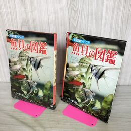 1_　学習図鑑シリーズ 3 魚貝の図鑑 小学館 昭和44年 100264