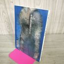 1_　文久山 仙台藩洋式高炉のはじめ 芦文八郎 芦東山先生記念館 090233