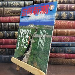 8_  芸術新潮 1998年 7月号 ケルトに会いたい！魂の島アイルランド旅行 010196