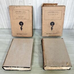 1_　計2冊 トルストイ全集 6.7巻 アンナ・カレーニナ 上下巻 神田豊穂 春秋社 大正14年 1925年 非売品 函壊れ有 090283