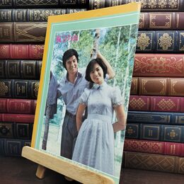 8_  映画パンフレット 風立ちぬ どんぐりっ子 山口百恵 三浦友和 森昌子 西河克己 240487