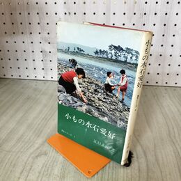 1_　愛石シリーズ3 小もの水石愛好 江口正直 初版 200110