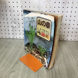 1_　山の幸 山菜 木の実 きのこ 210285