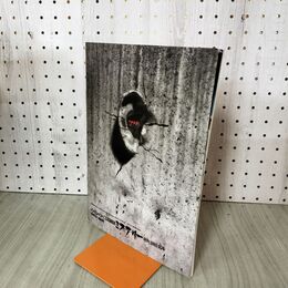 1_　パンフレット みちのく国際ミステリー映画祭 99 盛岡 岩手 270285