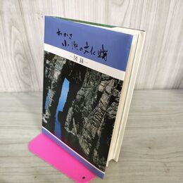 1_　わかさ小浜の文化財 図録 小浜市教育委員会 福井県 240021
