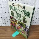 1_　香りと花のハーブ図鑑500 暮らしを豊かに彩る 主婦の友社 020065