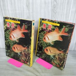 1_　図鑑 わたしたちの科学百科8 魚・貝 国際情報社 300155