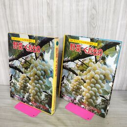 1_　図鑑 わたしたちの科学百科 9 野菜・くだもの 国際情報社 300170