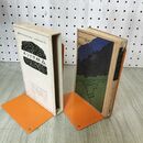 1_　森林ロマンス 日本評論社 相葉久江 大正9年 1920年 臭いあり 170047