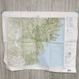 1_　岩手県 一関 盛岡 1:200000地形図 国土地理院 平成18年 2006年 古地図 測量 140144