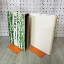 1_　宮沢賢治 佐藤隆房 100220