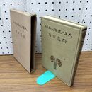 1_　人生の迷路に立ちて 関露香 大正8年 1919年 再版 臭い有 170295