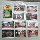 1_　絵葉書 第2集10枚組 国立公園展覧会 昭和4年 1929年 東京日本橋 三越 はがき 臭いあり 200142