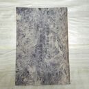 1_　明治天皇記念 行道樹篇 附緑陰樹 本多静六 大正2年 1913年 造林学後論ノ三 臭いあり 270086