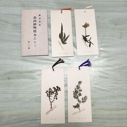 1_　絵葉書 4枚 栞4枚 教育資料 高山植物標本栞 高山植物標本しおり ポストカード 010061