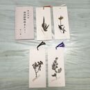 1_　絵葉書 4枚 栞4枚 教育資料 高山植物標本栞 高山植物標本しおり ポストカード 010061