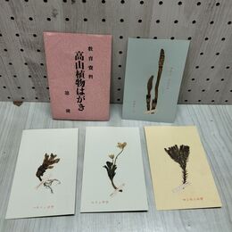 1_　絵葉書 4枚 教育資料 高山植物はがき ポストカード 010063