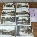 1_　絵葉書 8枚組 東郷神社絵はがき 臭いあり 020241