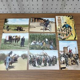 1_　絵葉書 7枚 支那風俗 高級原色版 満洲國郵政 中国 はがき 臭いあり 020263