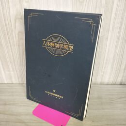 1_　人体解剖学模型 保志宏 日本医療器研究所 070070