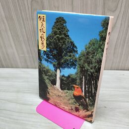 1_　伊豆 天城の野鳥 030272