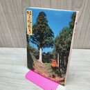 1_　伊豆 天城の野鳥 030272