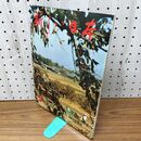 1_　新しい日本 5 近畿2 奈良 三重 和歌山 国際情報社 120105