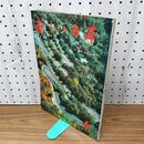 1_　新しい日本 6 関東1 栃木 群馬 茨城 国際情報社 120106