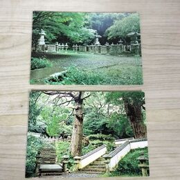 1_　絵葉書 計2枚 長崎 対馬交通 万松院 万年杉 墓所 170062