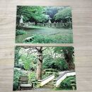 1_　絵葉書 計2枚 長崎 対馬交通 万松院 万年杉 墓所 170062