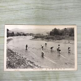 1_　絵葉書 盛岡市紫草園 南部紫根染晒場 岩手県 240092