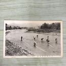 1_　絵葉書 盛岡市紫草園 南部紫根染晒場 岩手県 240092