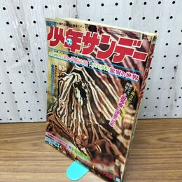 1_　週刊少年サンデー 昭和44年 7月20日号 1969年 ヌーバ怪人境 驚異の世界 270268