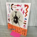 1_　普及版　世界一大きい絵本　日本万国博覧会展示1970/長新太・野田弘志　CIC1173 120184
