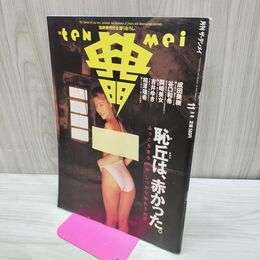 1_　月刊 ザ・テンメイ 1994年 11月号 平成6年 加納典明 020085