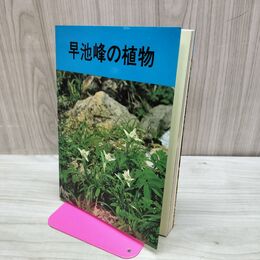 1_　早池峰の植物 鈴木 實 池田 義春 150244