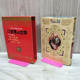 1_　カラー版名作全集 少年少女世界の文学 13 フランス編2 愛の妖精 三銃士 きつね物語 160023