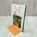 1_　新々みちしるべ 菩薩シリーズ こころ 智慧 文殊菩薩 220259