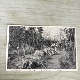 1_　絵葉書 エンタイア 岩手県 盛岡 岩手公園 梅林 一銭五厘切手 020046