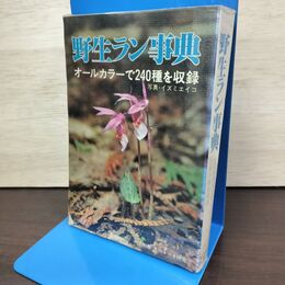 1_　野生ラン事典 オールカラーで240種を収録 イズミエイコ 050048