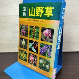 1_　原色 山野草 久保田秀夫 会田民雄 050051