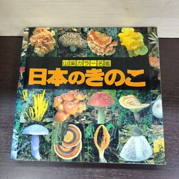 1_　山渓カラー名鑑 日本のきのこ 山と渓谷社 150013