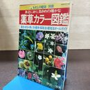 1_　薬草カラー図鑑 わたしの健康別冊 主婦の友社 140264