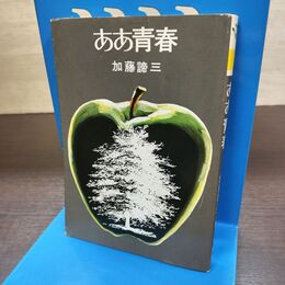 1_　ああ青春 加藤諦三文庫 秋元文庫 190005