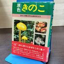 1_　原色 きのこ 清水大典 水野仲彦 伊沢正名 210250