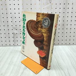 1_　たおされたカシの木 科学の読み物 吉見 昭一 文研出版 210037
