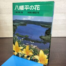 1_　八幡平の花 工藤茂美 加賀谷書店 270216