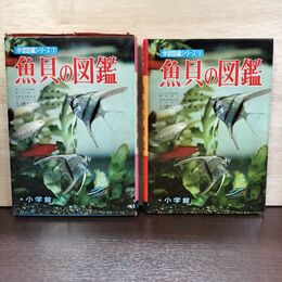 1_　魚貝の図鑑 小学館 学習図鑑シリーズ 3 010068