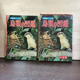 1_　鳥類の図鑑 小学館 学習図鑑シリーズ 4 010065